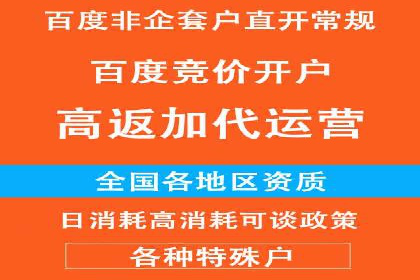 百度推广公司案例解析：如何通过百度推广实现品牌升级